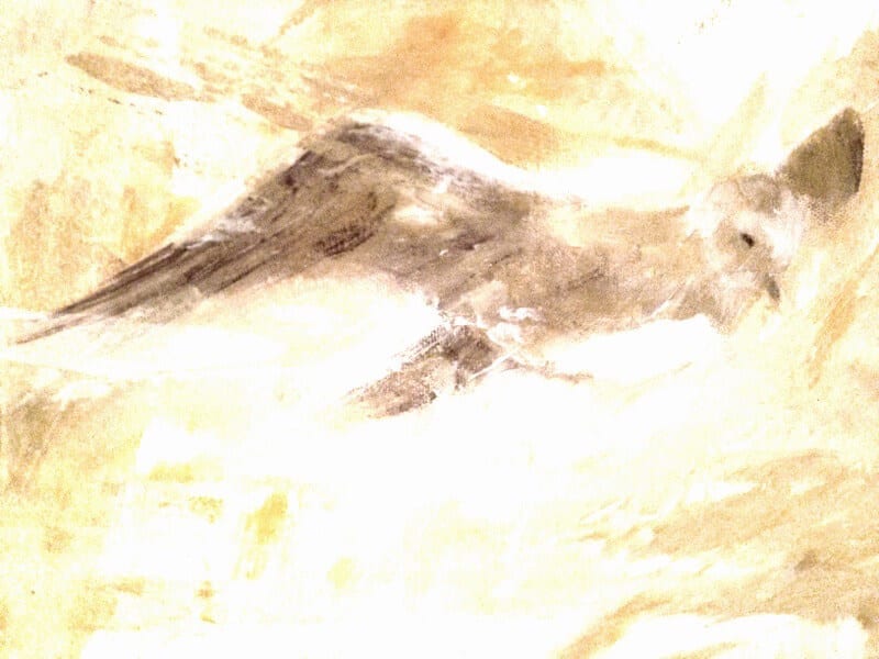 Das Bild zeigt eine Malerei in Acryl und Spachteltechnik. Man sieht darauf einen Vogel mit ausgebreitetem FlÃ¼gel. Die Farben sind in ocker und grau gehalten.