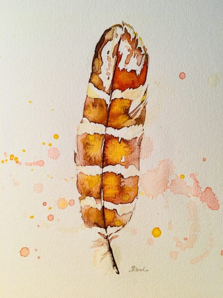 Du siehst hier das fertige Aquarellbild der Feder