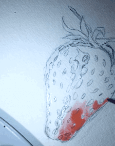 Man sieht ein Aquarell einer Erdbeere der KÃ¼nstlerin Dodo Kresse