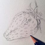 Man sieht eine Erdbeere mit Bleistift skizziert der KÃ¼nstlerin Dodo Kresse