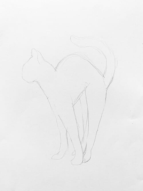 Du siehst die Vorzeichnung der Bengal Katze in Bleistift