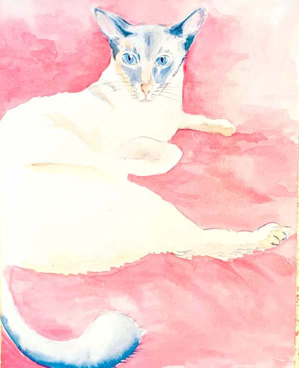 Hier siehst du das fertige Aquarell der Siamkatze.