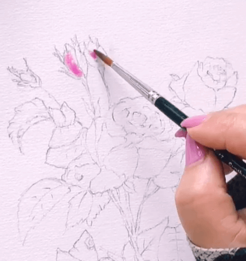 Du siehst wie Dodo die Knospen der Rosen mit rosa Aquarellfarbe malt