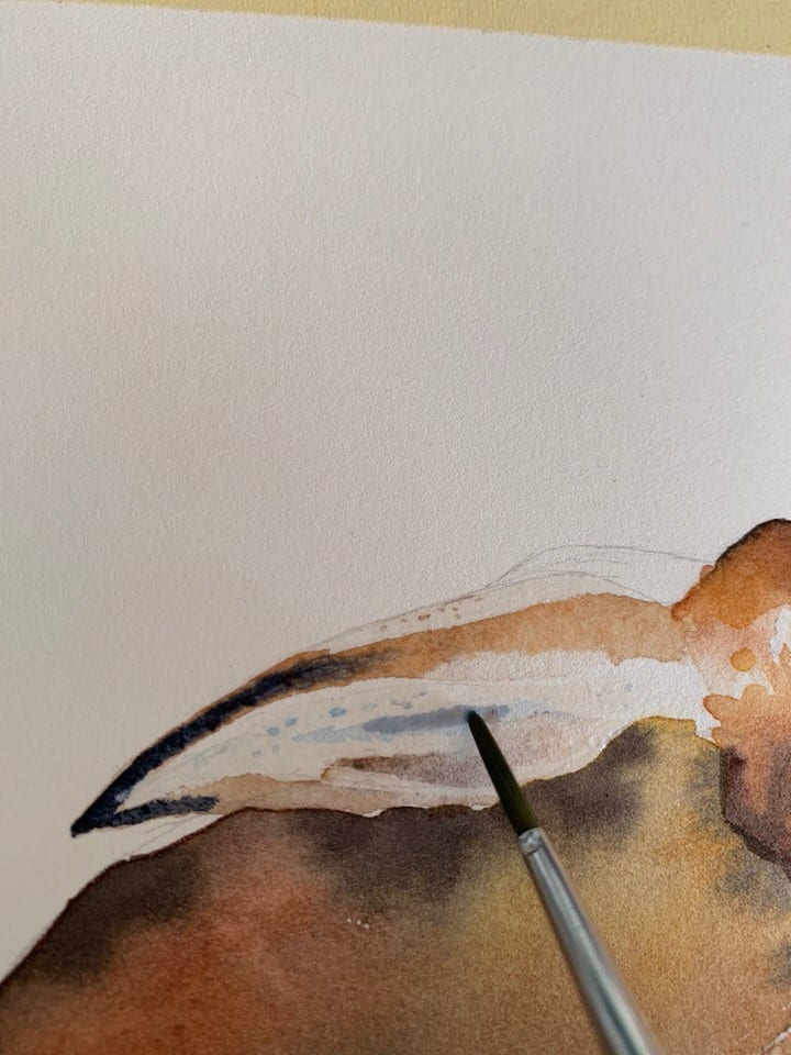 Das Flauschohr des Hasen mit granulierenden Aquarellfarben malen